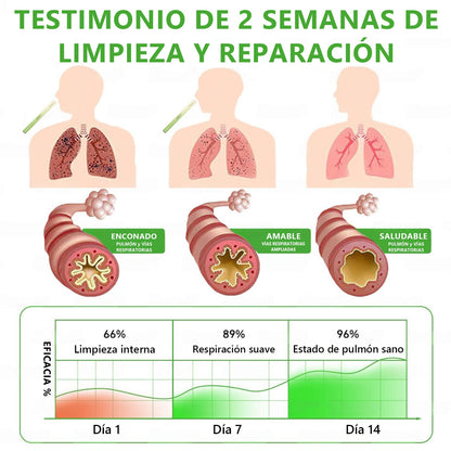 𝐓𝐢𝐞𝐧𝐝𝐚 𝐨𝐟𝐢𝐜𝐢𝐚𝐥 ✨𝐌𝐮𝐫𝑤𝗈𝒏® Difusor Botánico de Mullein para Limpieza de Pulmones (🫁 Tos, faringitis, dificultad para respirar, flema, congestión nasal, bronquitis, síntomas alérgicos, malestar pulmonar)5💖