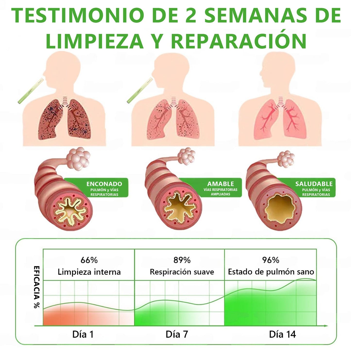 𝐓𝐢𝐞𝐧𝐝𝐚 𝐨𝐟𝐢𝐜𝐢𝐚𝐥 ✨𝐌𝐮𝐫𝑤𝗈𝒏® Difusor Botánico de Mullein para Limpieza de Pulmones (🫁 Tos, faringitis, dificultad para respirar, flema, congestión nasal, bronquitis, síntomas alérgicos, malestar pulmonar)10